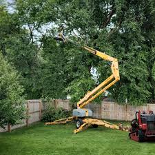 Best Tree Trimming and Pruning  in Newark, NJ